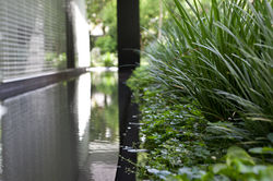 Architecture - Pitsou Kedem