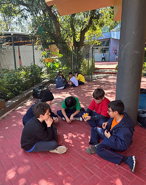 escola particular, maternal