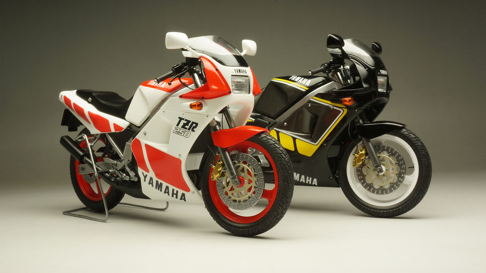 TZR250(1KT)ハセガワ