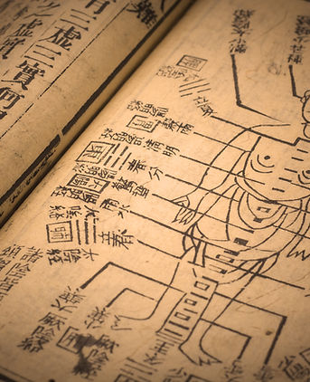 Traditional Medical Text