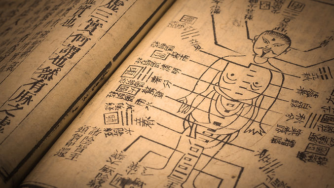 Traditional Chinese Medicine Class on properties of organs and how they inform our health