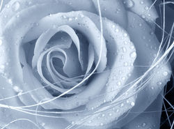 Fine art photography, landscape, large prints, geecle prints, award winning photography, wall art