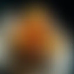 best cannabis photographer in Los Angeles