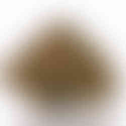 macro cannabis photography