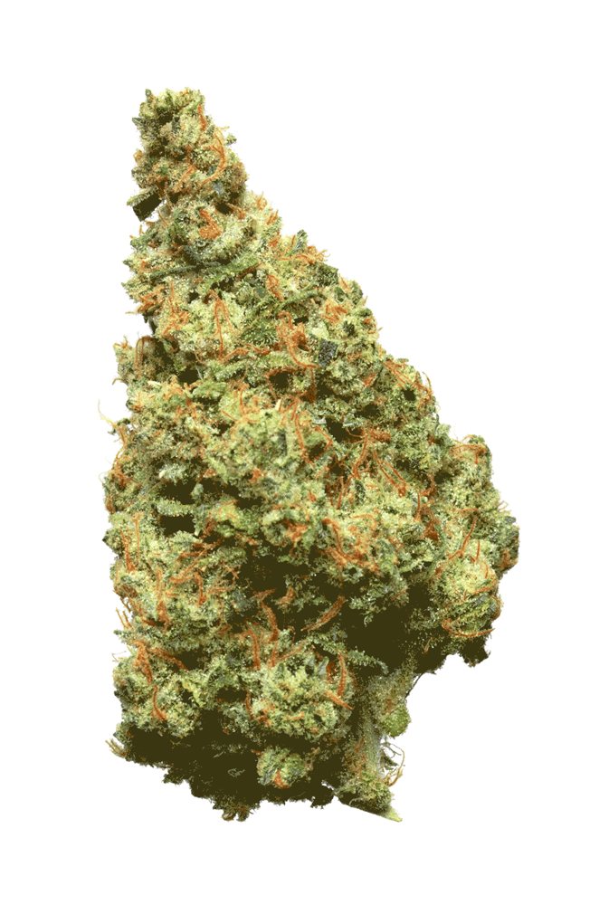 creative cannabis product photos