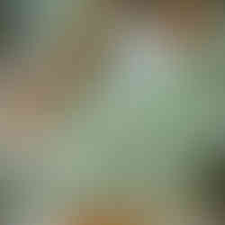 macro cannabis photography