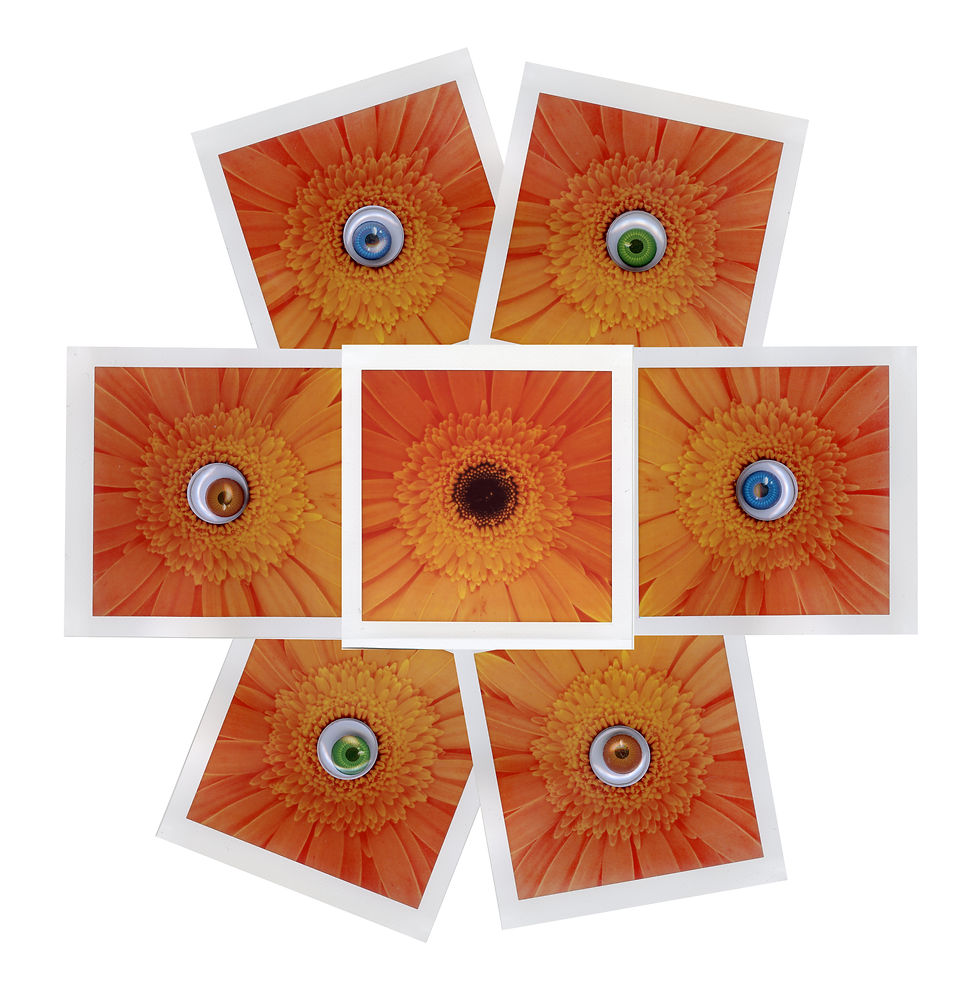 "Eyes" FujiFilm Instax Square Collage Mosaic by Film Collage Artist, Erin Delsigne