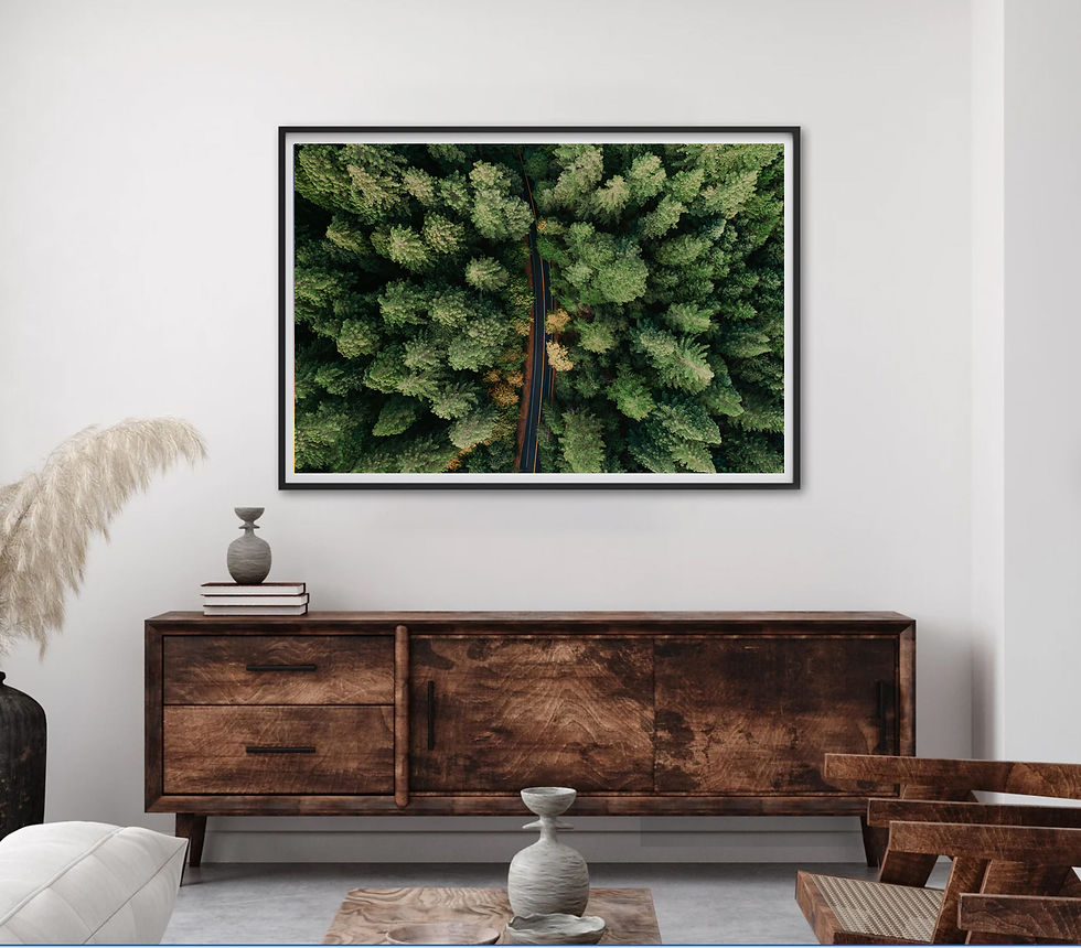 Thumbnail: Drone Photograph Above The Redwoods by Erin & Jake Photography