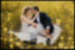 Bride and Groom sitting on a blanket in a field of yellow wildflowers