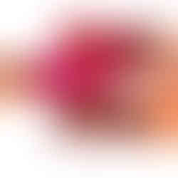 product photography in Los Angeles