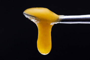 cannabis photographer in denver