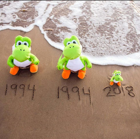 Stuffed animal Yoshi's on the beach for a Los Angeles maternity photoshoot. 