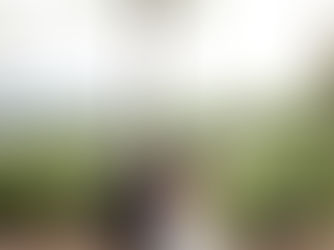 COLLEEN + BRIAN - CHATEAU ST JEAN KENWOOD WEDDING