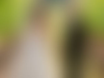 ALISON + DAVID - CHATEAU ST JEAN KENWOOD WEDDING