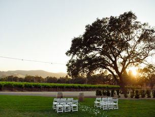 Embrace the Essence of Wine Country: Incorporating Napa and Sonoma Elements into Your Wedding