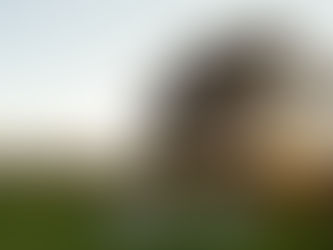 Embrace the Essence of Wine Country: Incorporating Napa and Sonoma Elements into Your Wedding