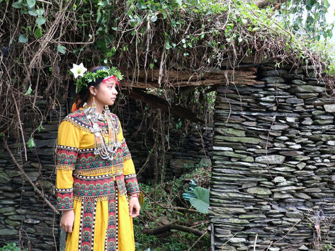 根Root -I la taubaliu 走，回家吧!