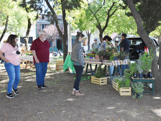 La Feria Ecofines cumple 10 años y lo celebra este sábado