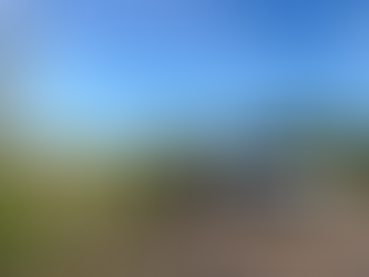 Operativo de limpieza en calle Traveset