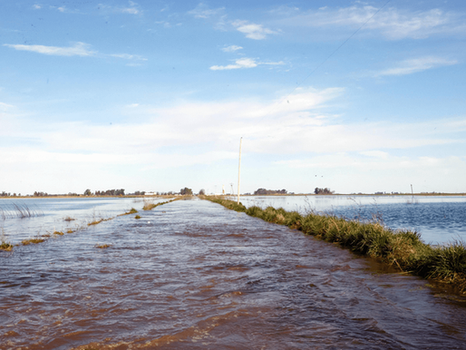 Inundaciones: ARCA sumó resoluciones para productores de Buenos Aires en emergencia