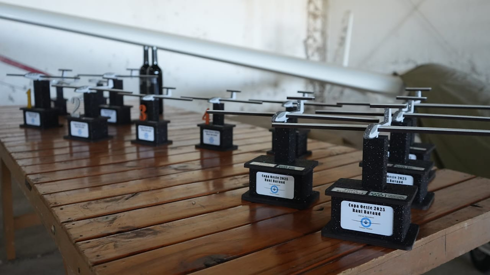 Finalizó la copa oeste “Raúl O. Bavaud” en el clubde planeadores TL