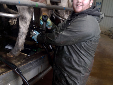 Australian Words and Slang - My Downfall