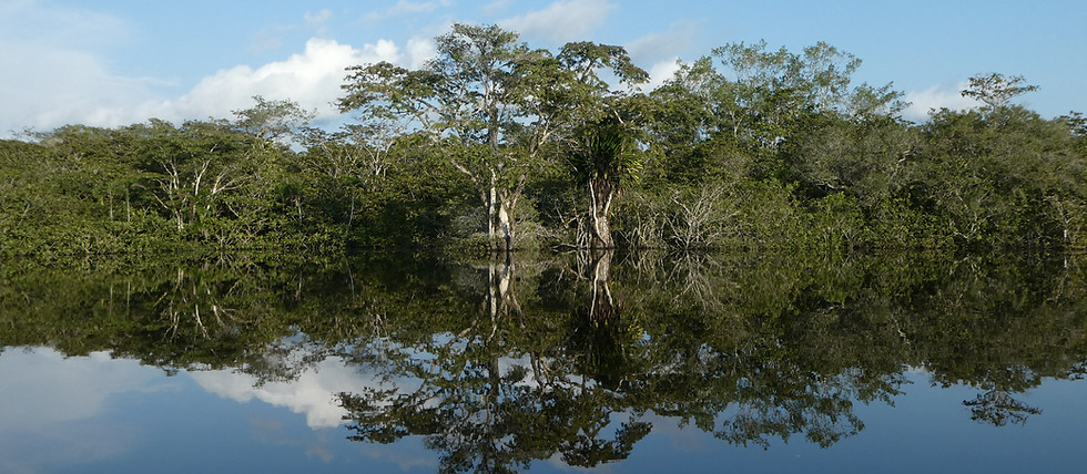 P1140484.JPG