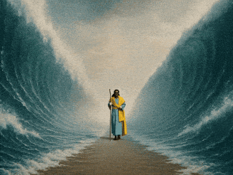 giphy-downsized 3.GIF