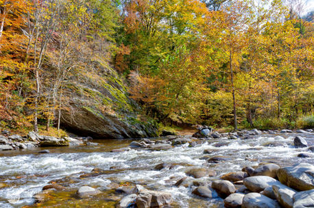 Great Smoky Mountains 10-17-2022 WM Web-8.jpg