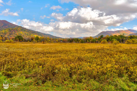 Great Smoky Mountains 10-17-2022 WM Web-17.jpg