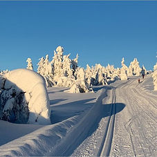 per eriksson sjusjoen ski.jpeg