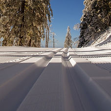 ski cross country_edited.jpg