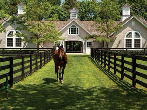 How a Good Website Can Market You While You Sleep (Literally)