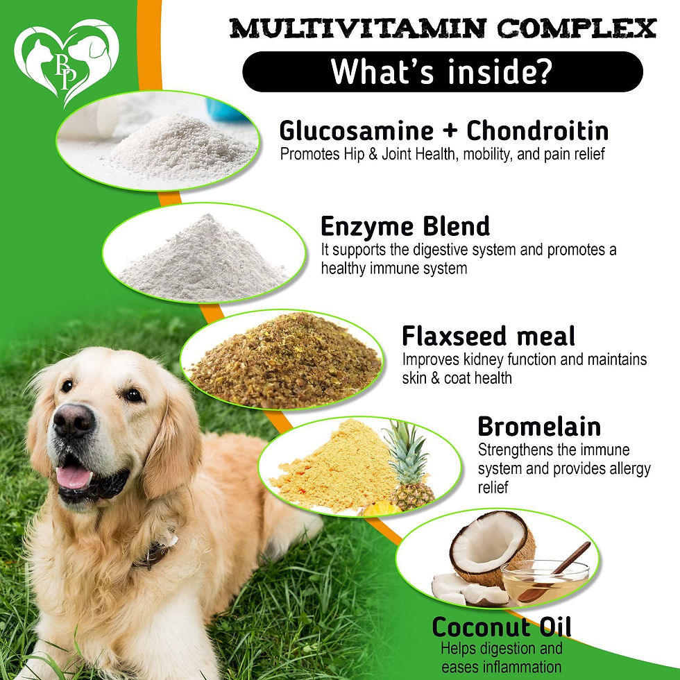 Thumbnail: Insects Prevention Chewable Pills for Dogs Natural Pest Control for Pets Dogs
