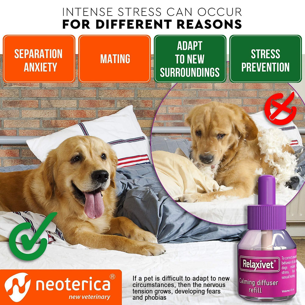 Thumbnail: Calming Diffuser Kit for Dogs Puppy Pet Separation Anxiety Relief Calm Pheromone