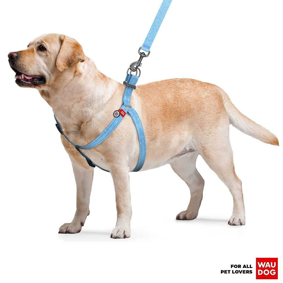 Thumbnail: Blue Cotton Dog Harness Eco Friendly Adjustable for Medium Dogs M Size 2332 in