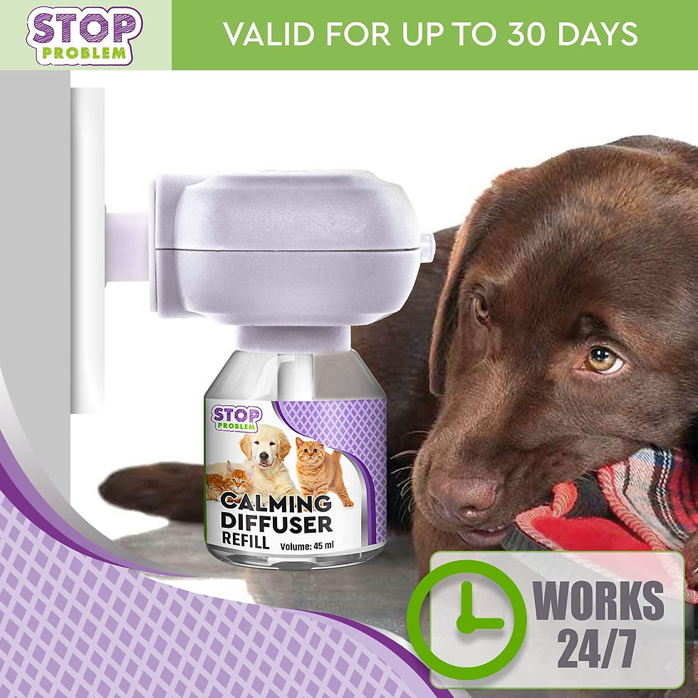 Thumbnail: Cat Calming Diffuser Pet Anti Anxiety Feline Pheromones Plug in Stress Relief