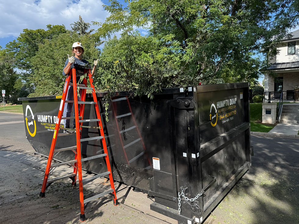 Eye-level view of a beautifully landscaped garden with colorful flowers and a stone pathway