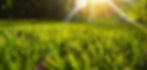 AdobeStock_223015616_edited.jpg