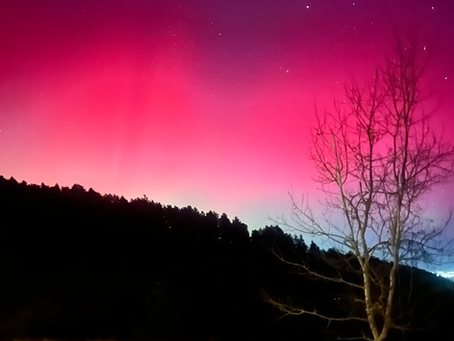 WHAT DO YOU WANT? A YIN YANG APPROACH TO DESIRE