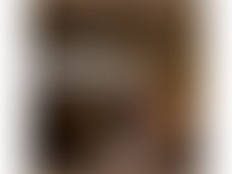 WHAT IS WILDLIFE PHOTOGRAPHY? TIPS,TRICKS AND ULTIMATE WILDLIFE PHOTOGRAPHY DESTINATIONS IN INDIA .