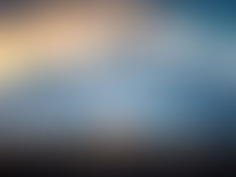 Wild and Beautiful Guanaco watching the sunset over Patagonia, Fitz Roy and Guanaco, Argentina