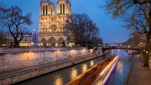Christmas Tree at Notre Dame Cathedral on Seine River