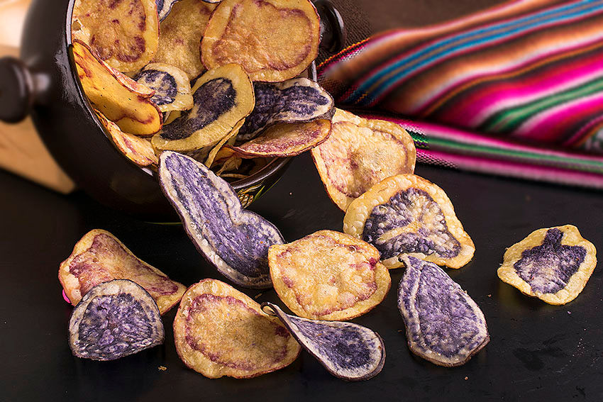 Chips-Nativas01.jpg