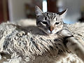 IMG_2840.jpeg