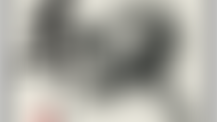 An illustration of a horse representing Year of the Horse for Chinese New Year