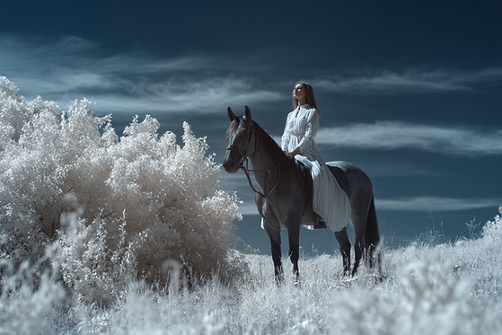 u6344233648_woman_mounted_on_a_horse_captured_in_a_medium_sho_5a291b26-1371-4993-8b45-80fc