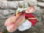 Anthurium