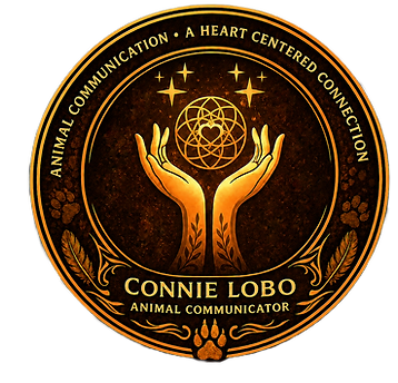 Connie Lobo, Certified Animal Communicator