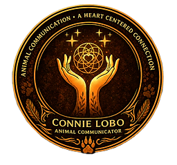 Connie Lobo, Certified Animal Communicator